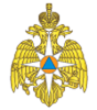 МЧС РФ МЧС РФ